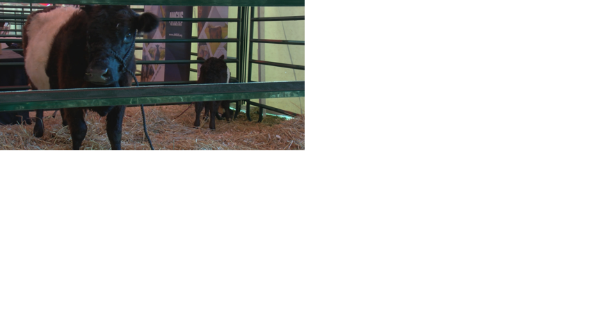 Farm Technology Days underway in Baraboo - Vimarsana News