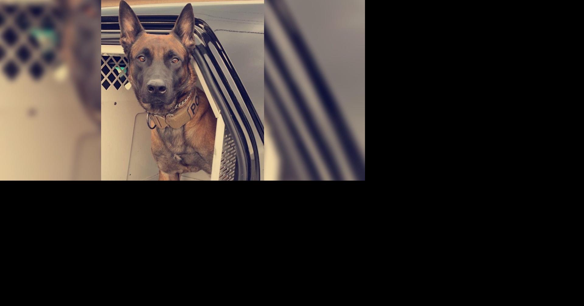 Lodi man arrested for 6th OWI after chase Crime wkow com