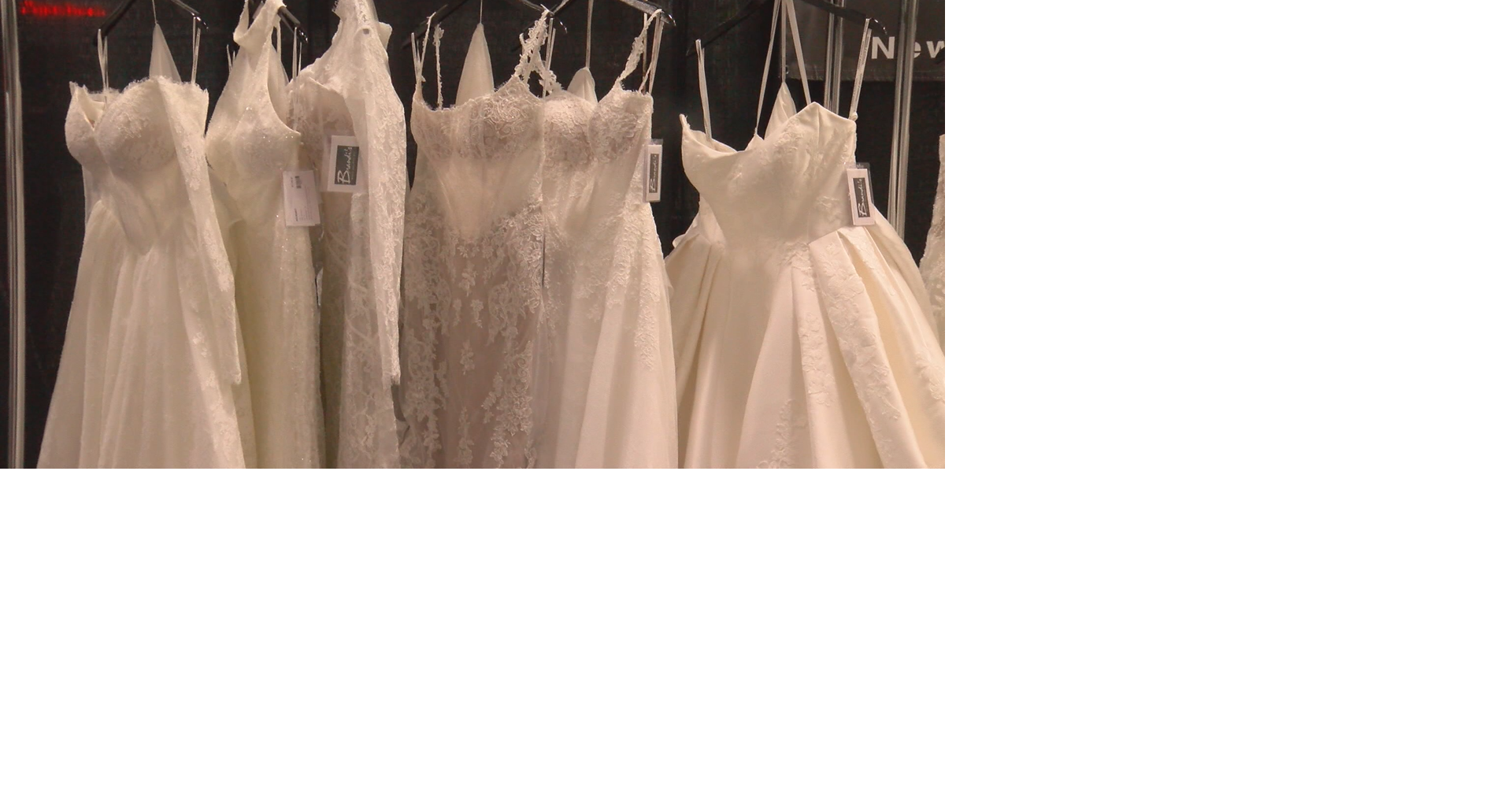 WedPlan Madison hosted wedding show at Alliant Energy Center