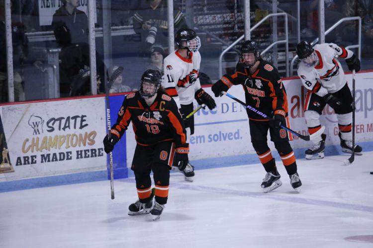 SLIDESHOW Photos from the WIAA State Hockey Tournament Championship