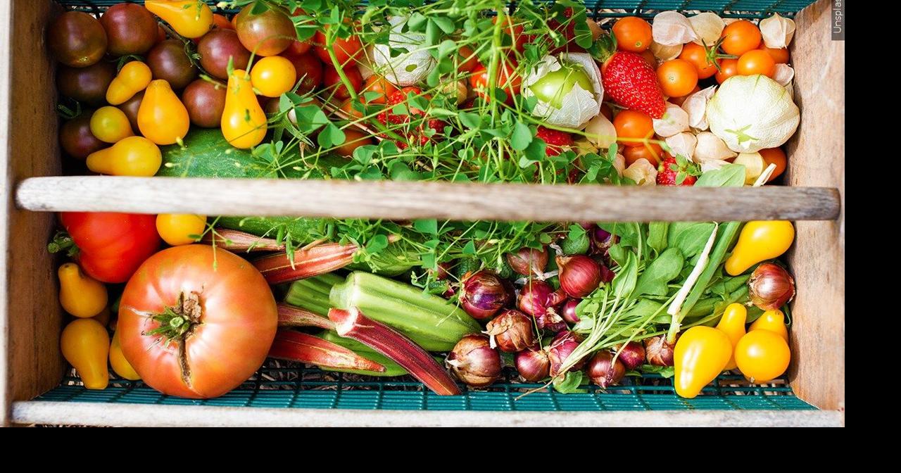 UW-Madison Dane County Extension program teaches skills beyond farming