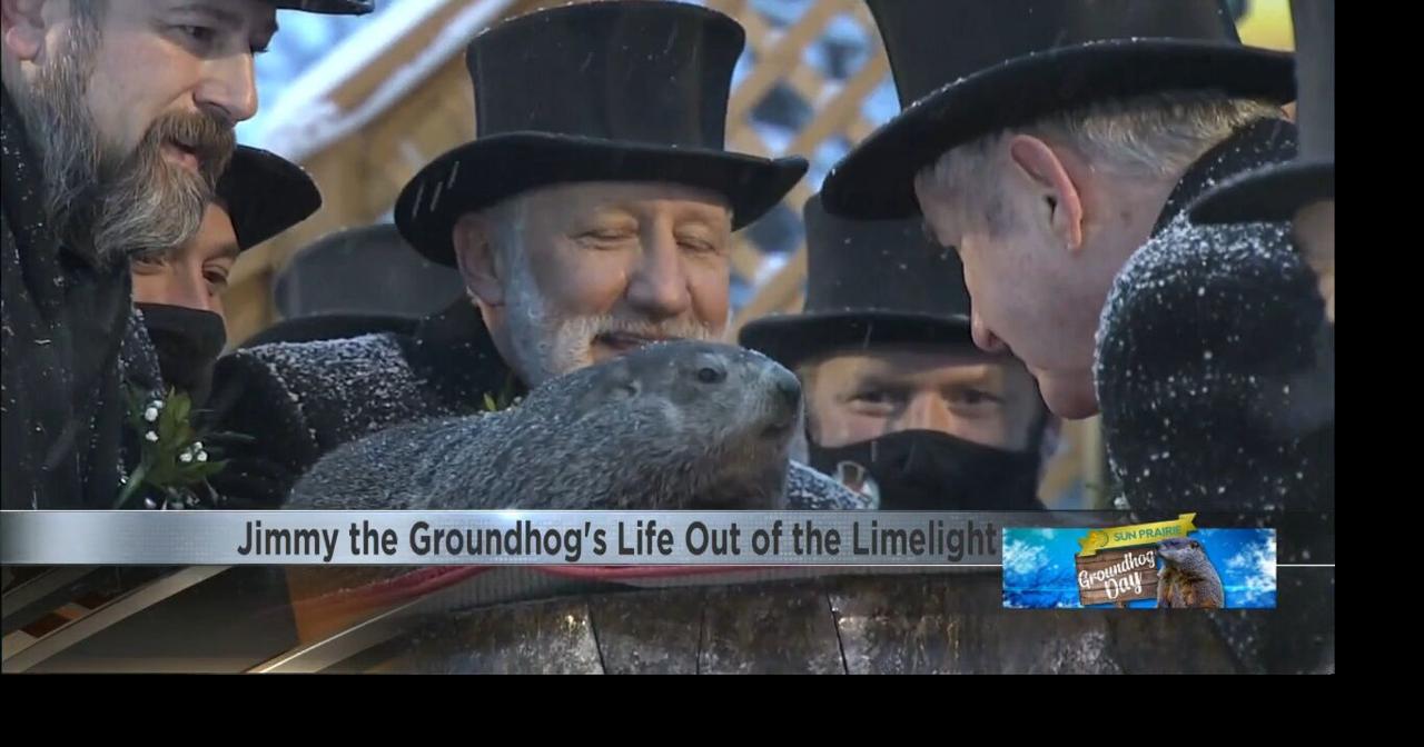Jimmy the Groundhog