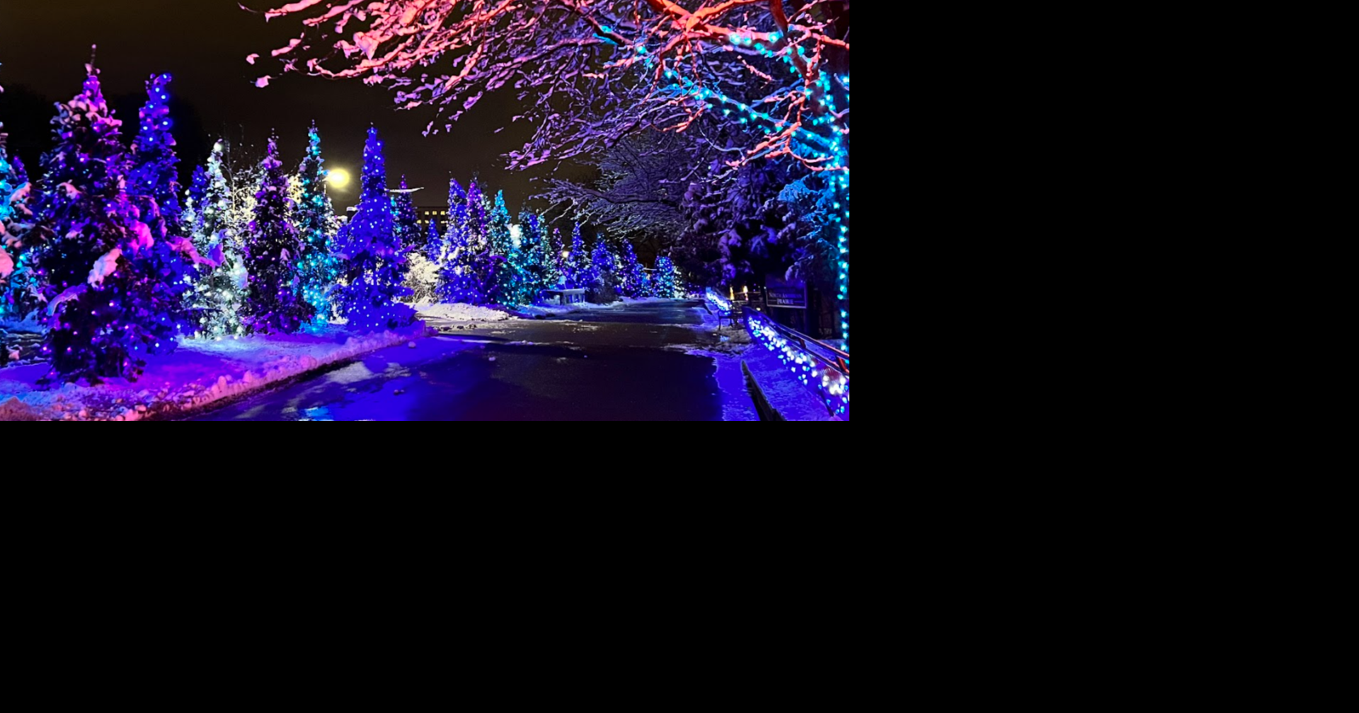 Zoo Lights tickets on sale with earlier opening time, new ticketing options