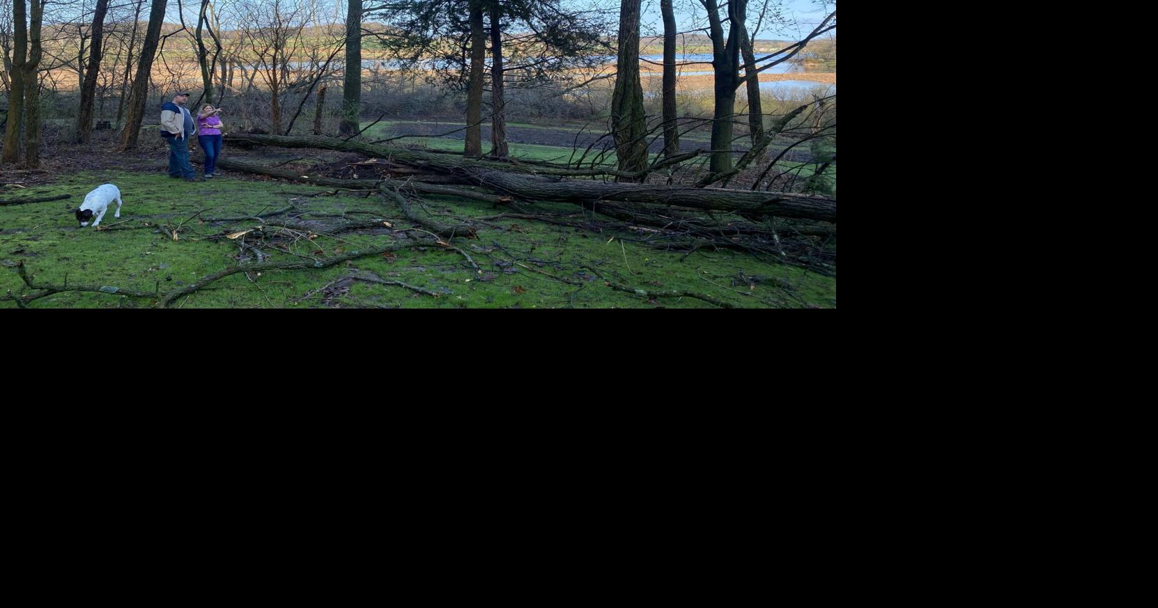 Straight-line winds rip through Lodi, downing dozens of trees overnight ...