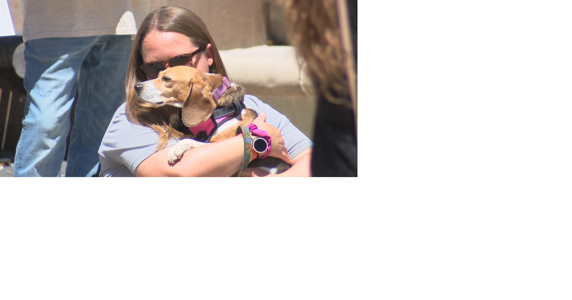 Dozens protest animal testing at UW-Madison