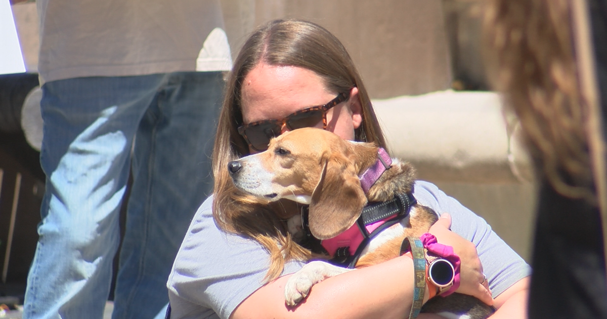 Dozens protest animal testing at UW-Madison