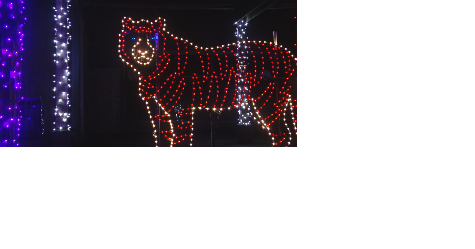 Henry Vilas Zoo Holiday Lights finishes up the season Top Stories