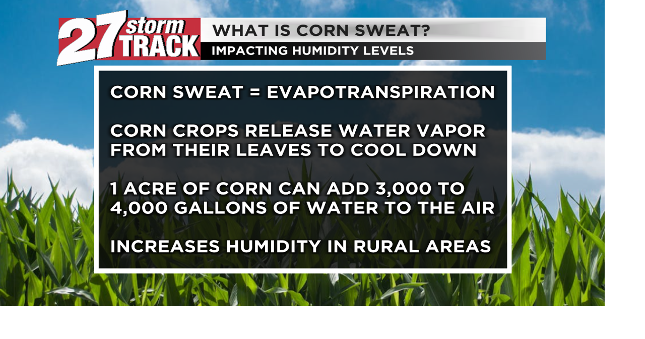 www.wkow.com