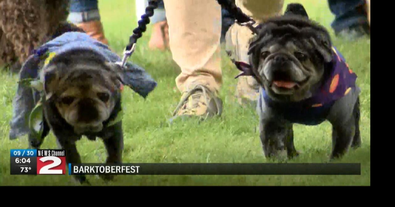 Susquehanna SPCA Hosts Barktoberfest and Dog Show | News | wktv.com