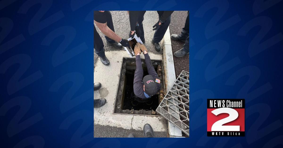 Baby Ducks Stuck in Rome Storm Drain Saved on Mother's Day | Local ...