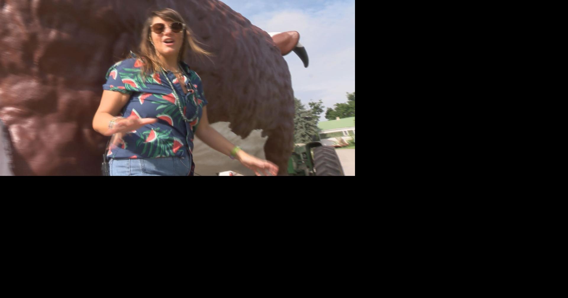 Lucky the Bull Gets a Transformation