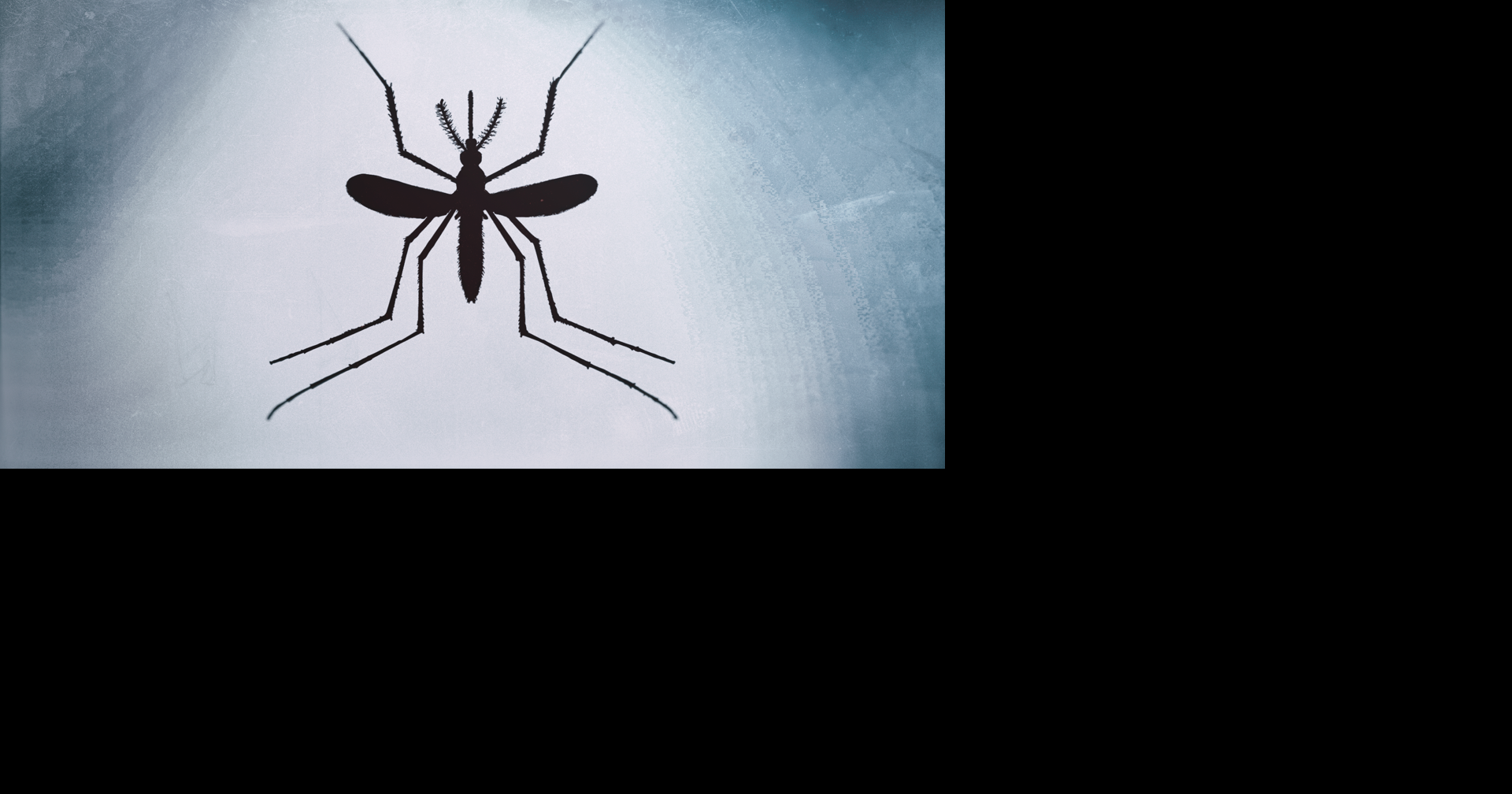 Jamestown Canyon Virus Detected in Madison County | Health