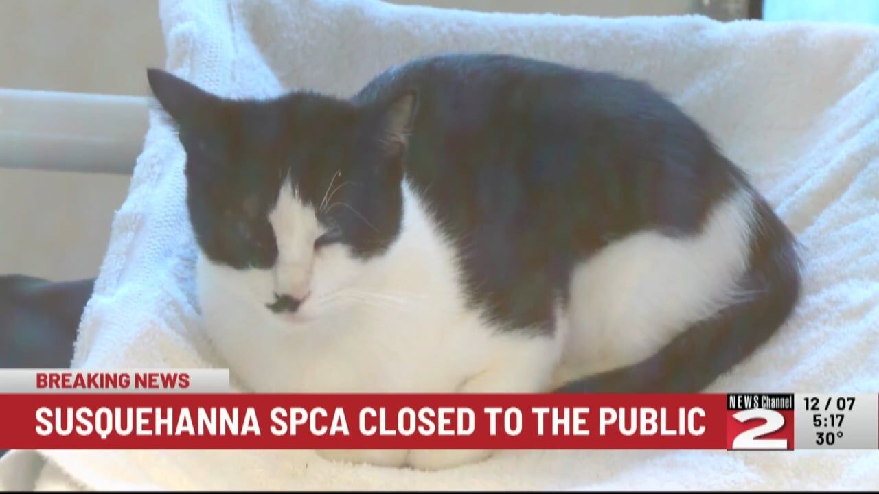 Susquehanna spca clearance