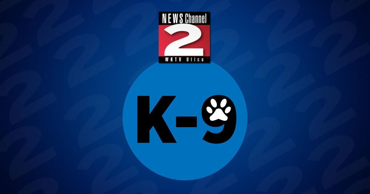 K-9s Find Marijuana at Marcy and Mid-State Correctional Facilities