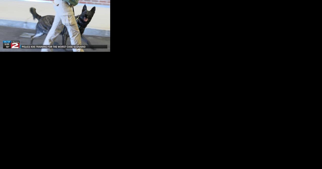 Police K-9s training for worst case scenario - Vimarsana News