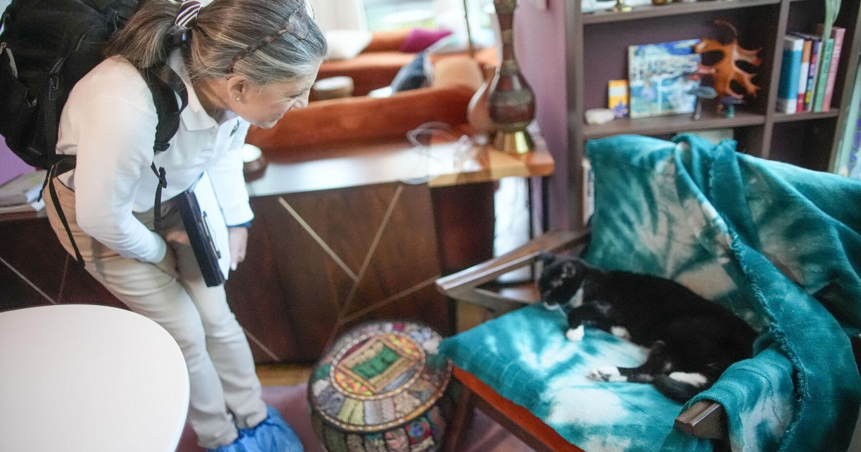 This NYC Vet Makes House Calls. in 'Pets and the City,' She's Penned a Memoir Full of Tails - Vimarsana News