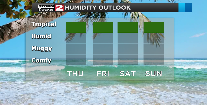 Humidity here to stay | Weather | wktv.com