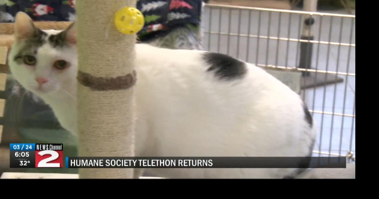 Anita Steven Swan Humane Society 89
