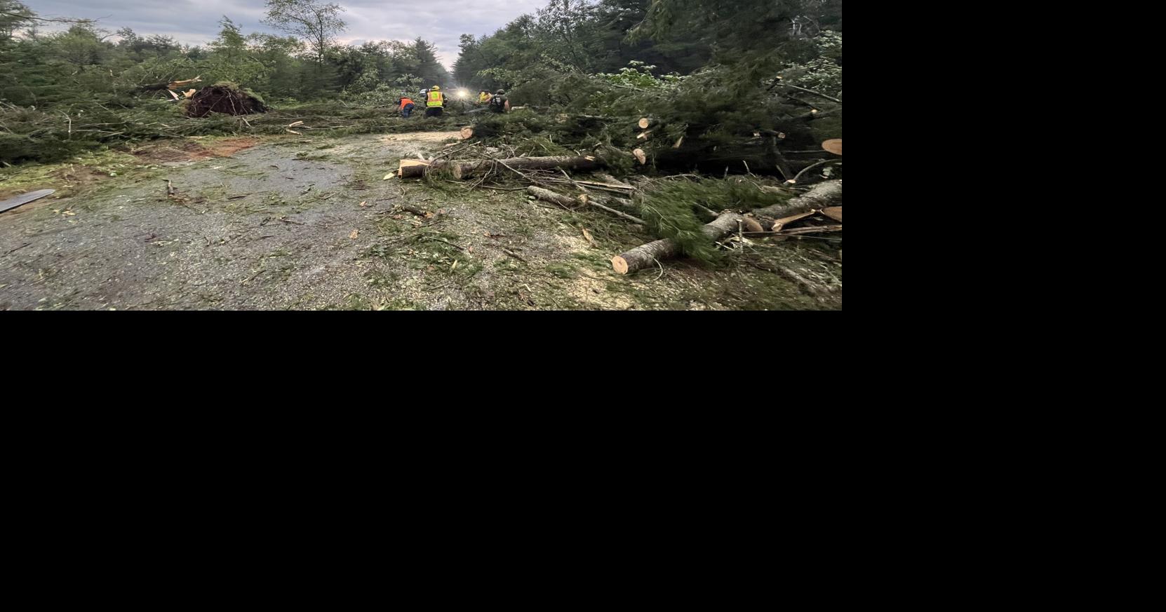 Trees, Power Lines Down in Forestport Following Radar-Confirmed Tornado ...
