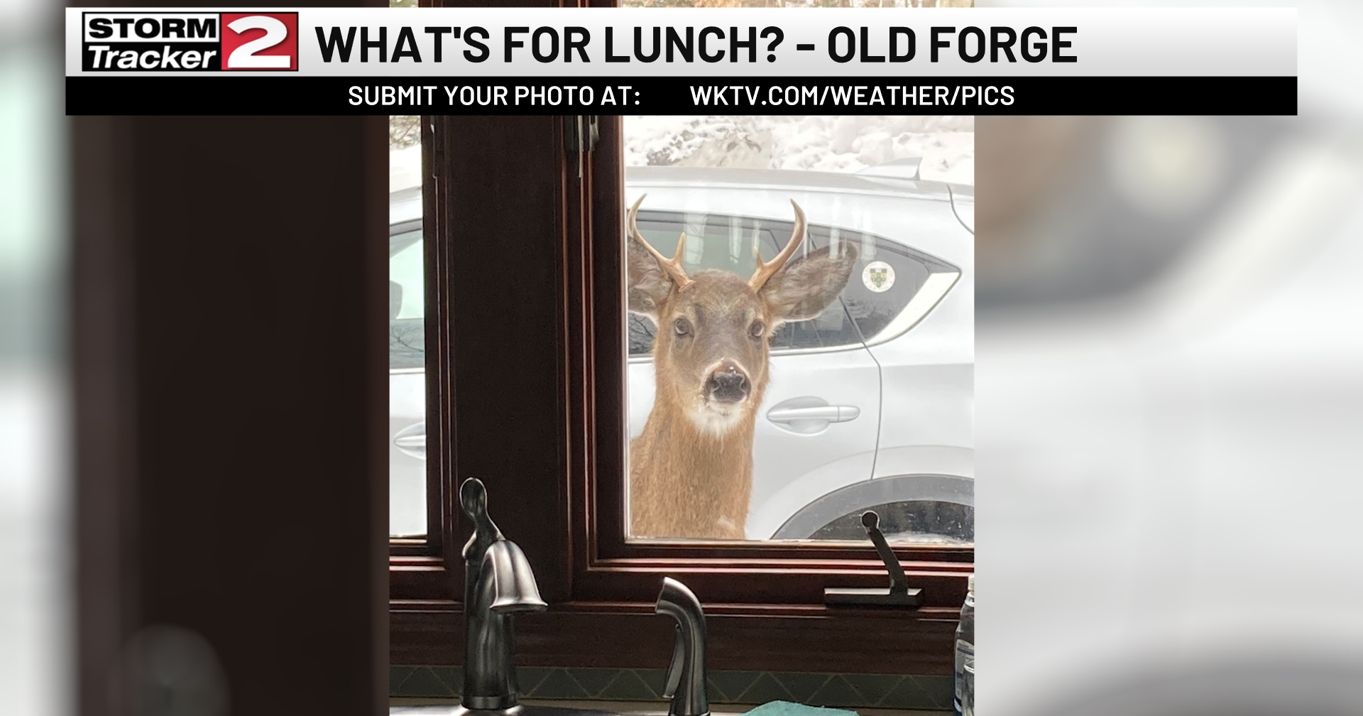 WKTV Weather Photo of the Day: Feb. 28 - Vimarsana News