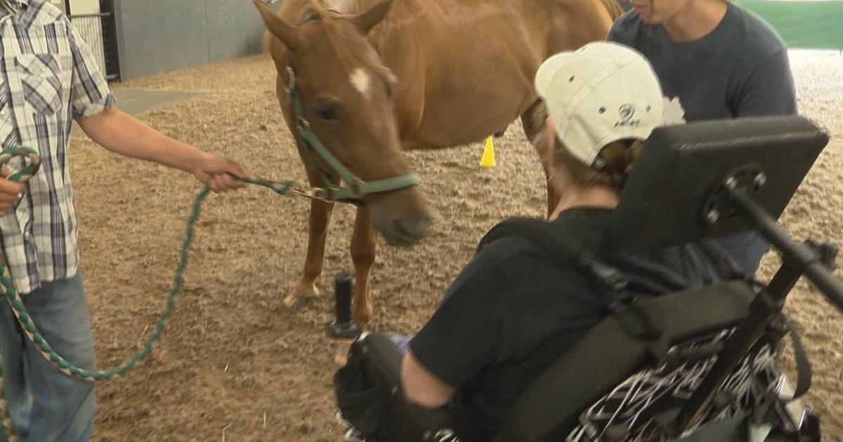 The Root Farm raffling off tickets to Super Bowl LVII | Community ...