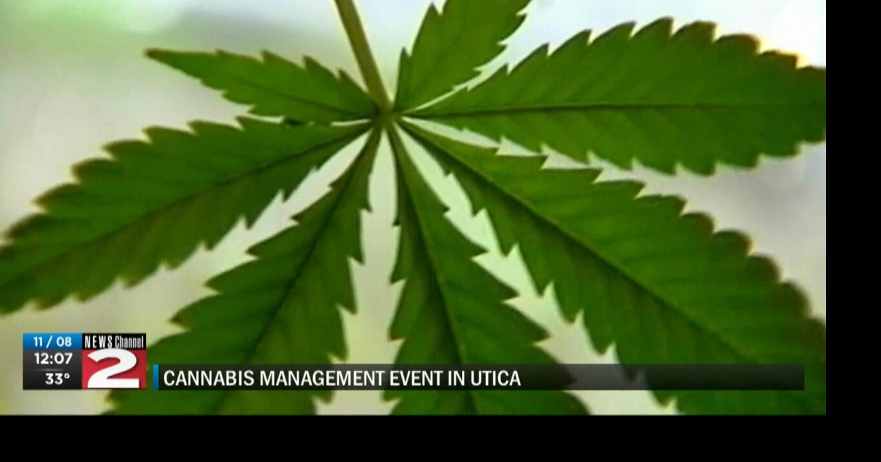 Office of Cannabis Management Hosting Utica Event to Help Entrepreneurs
