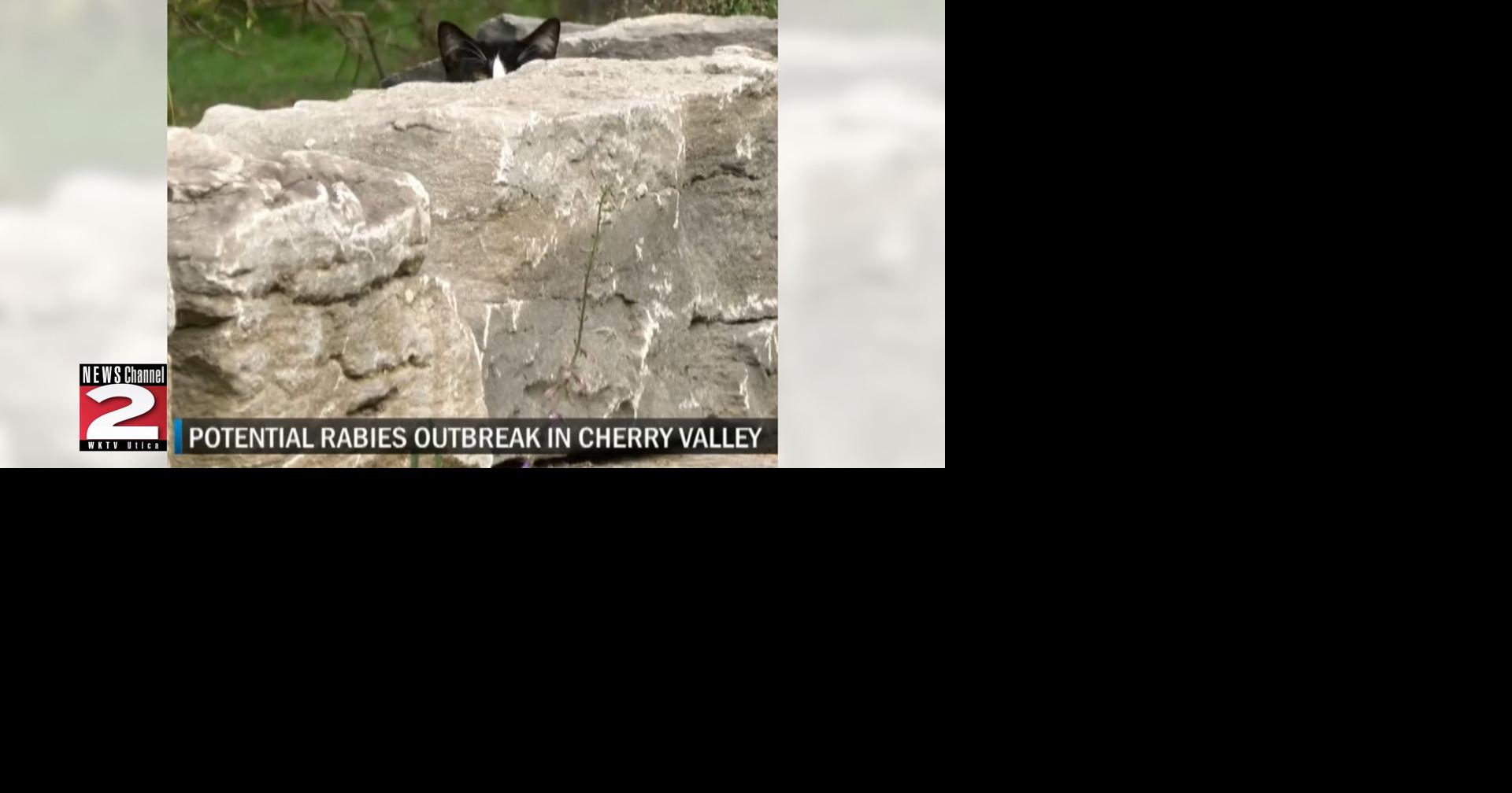 Potential Rabies Outbreak in Cherry Valley Health