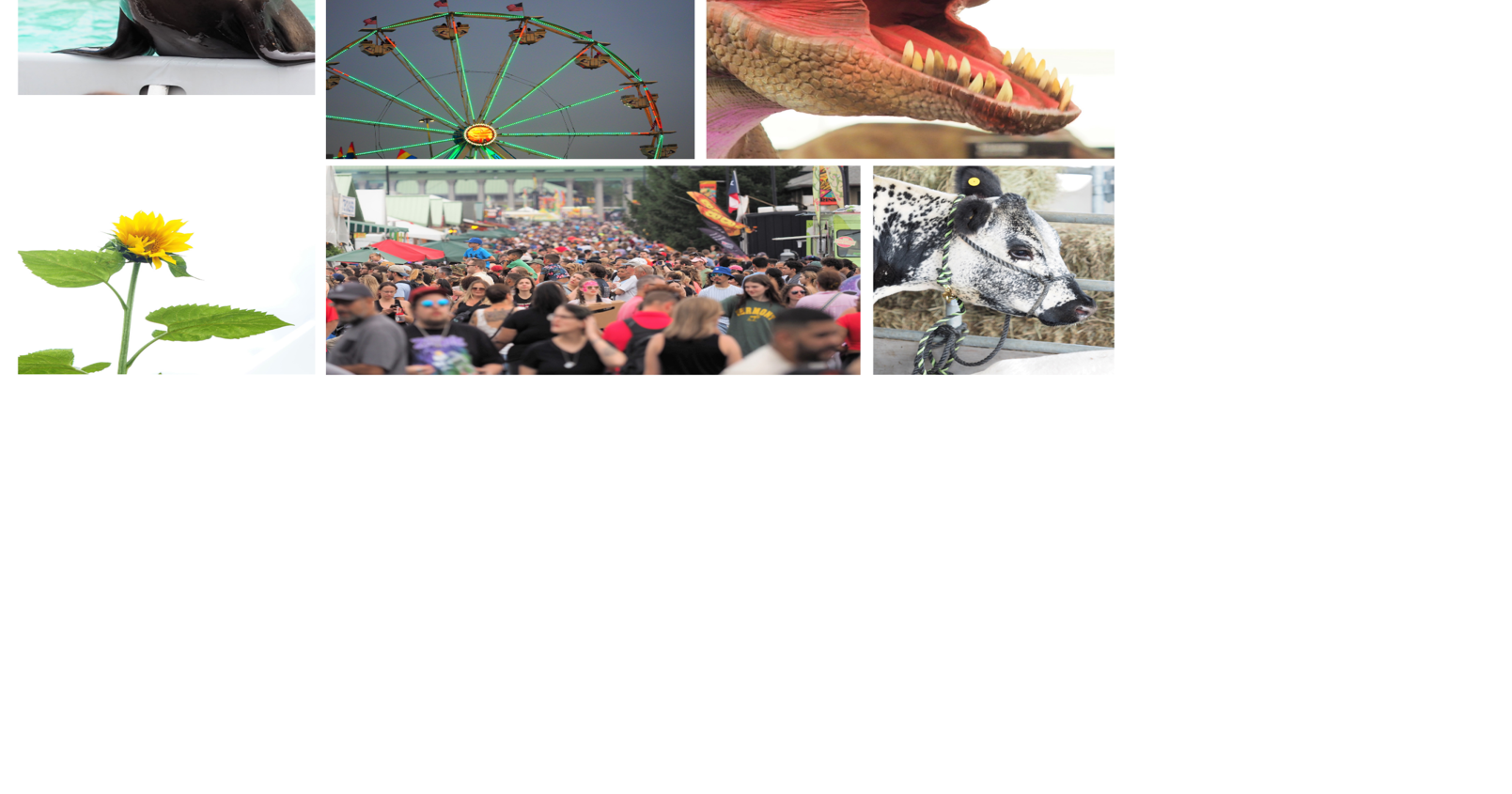 In Photos: New York State Fair Almost Over, Utica Resident Performs on ...