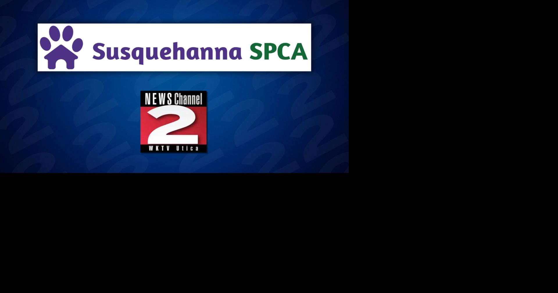 Susquehanna SPCA to Resume Normal Business Hours Following Temporary ...