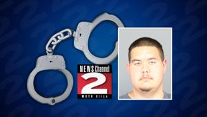 Kirkland Man Gets 18 Months in Jail for Abusing 12-Week-Old Kitten