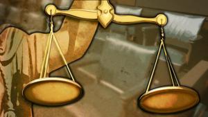 Photo illustrating article: Kirkland Man Pleads Guilty to Animal Cruelty Charges in 'Eva' the Cat Case