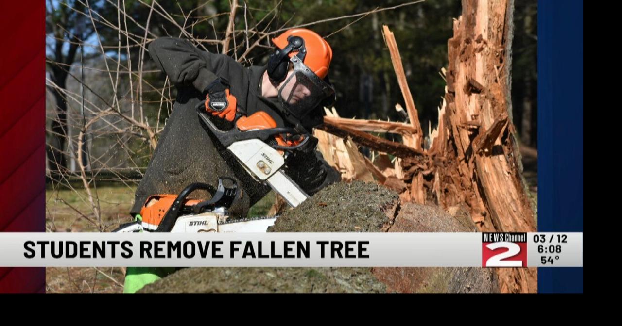Students Clear Fallen Tree from Their Campus | Video | wktv.com
