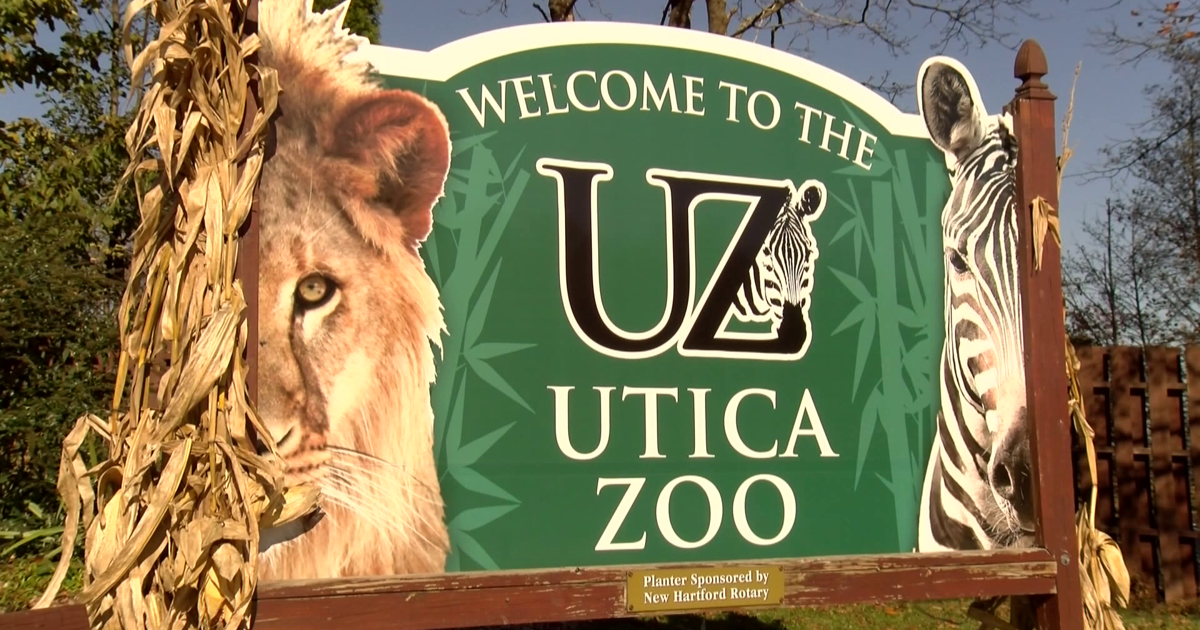 Utica Zoo Hosts Exclusive “Blues & Bourbon Night” Utica Zoo Hosts Exclusive “Blues & Bourbon Night”