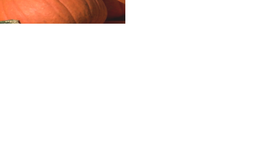 Pumpkin Patrol: Keeping the Spooky Season Safe for Area Residents - Vimarsana News