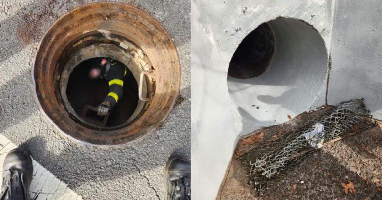 5 kids rescued from a Staten Island sewer system after they crawled into a tunnel and got lost - Vimarsana News