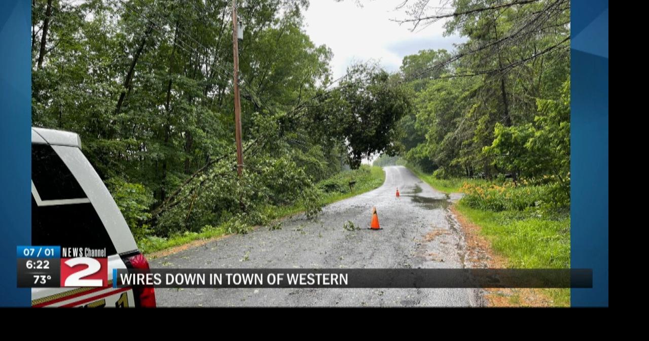 Trees down from winds from storm | News | wktv.com