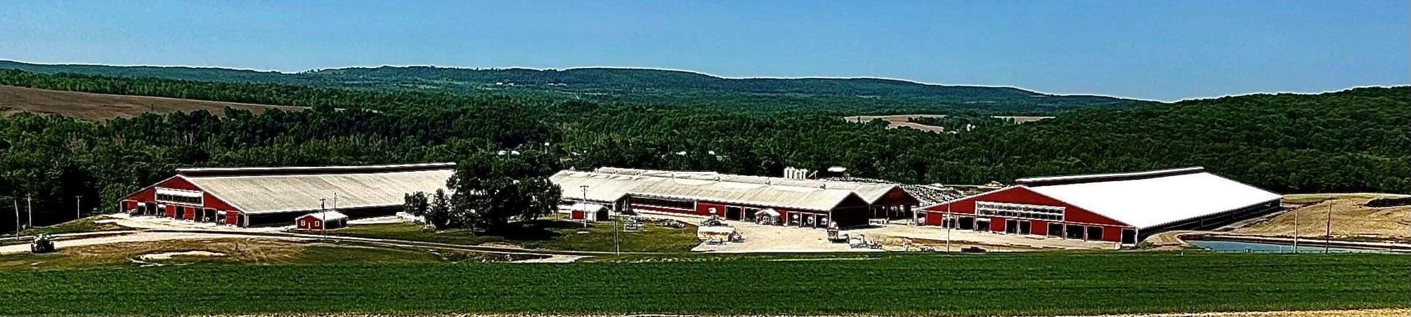 Local Farm Gets N.Y. Dairy of Distinction Award | News | wktv.com