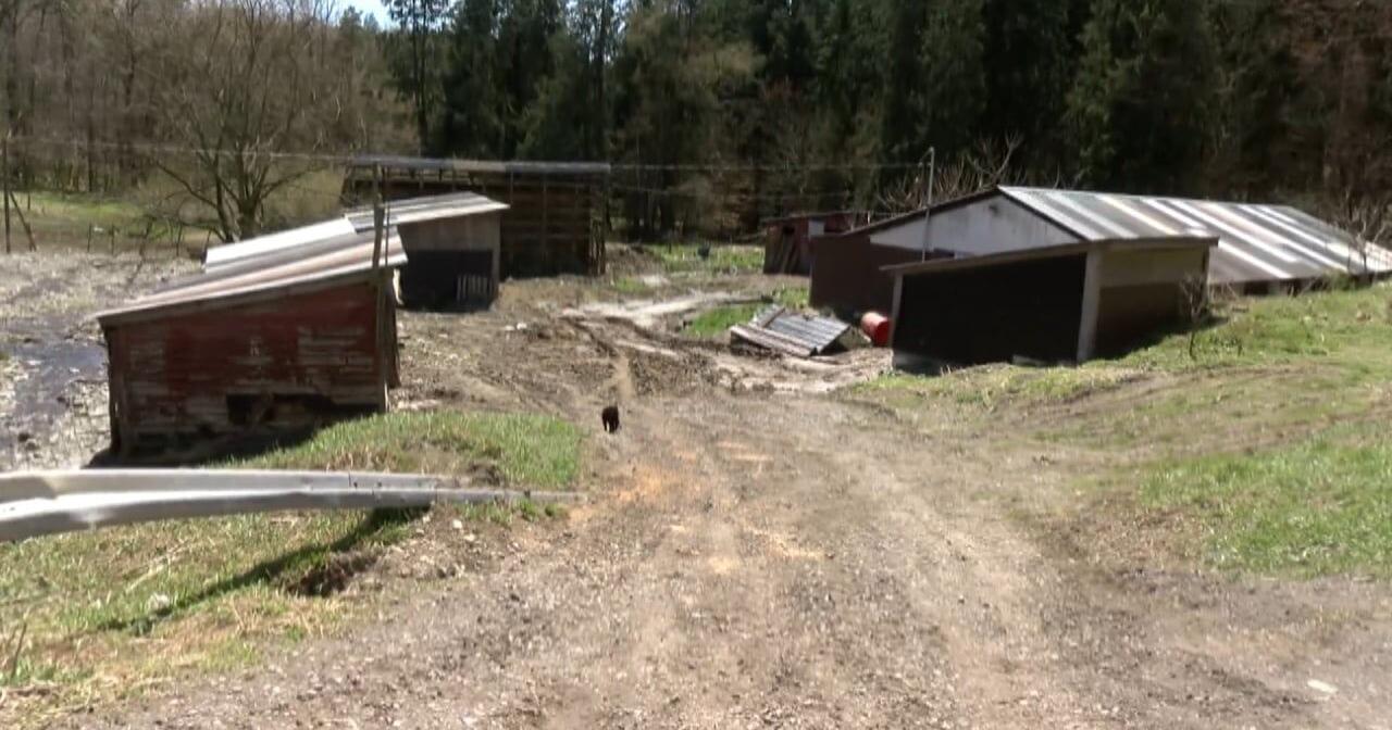 More Details Released on the Animal Cruelty Case in New Berlin - Vimarsana News