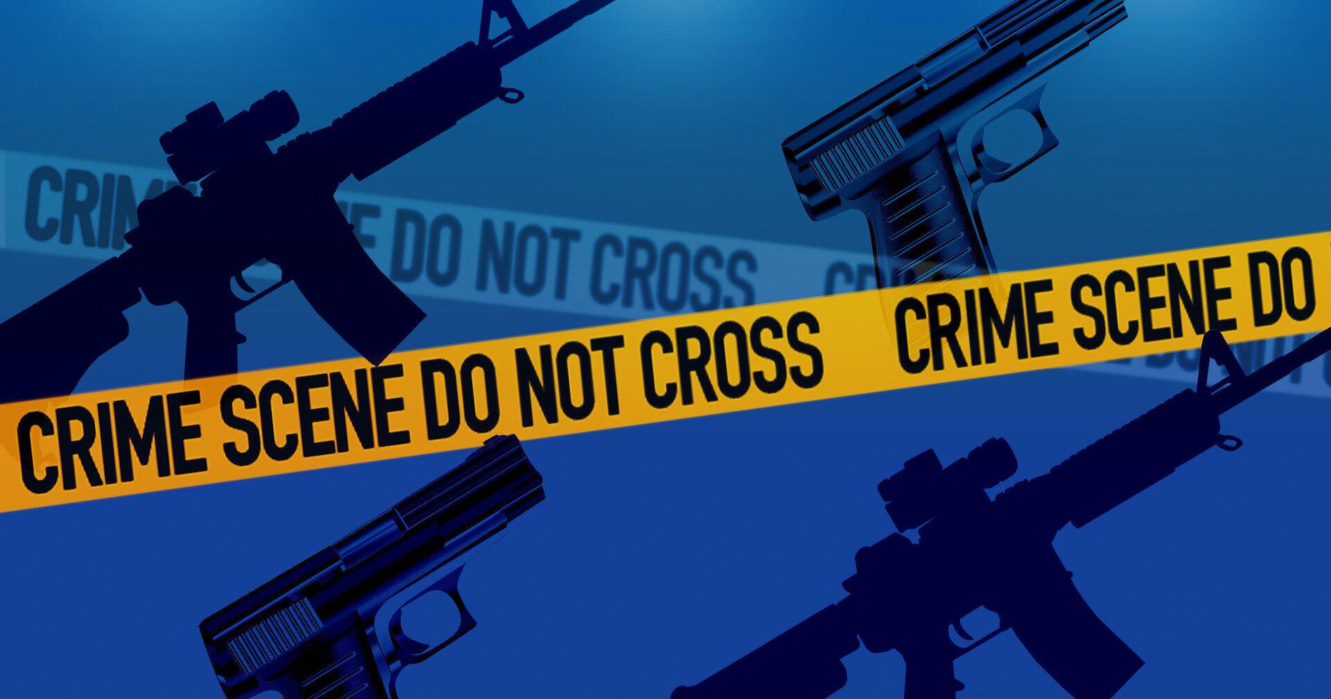 Six months. 28 mass killings in the US. That's the worst yet, and all but one case involved guns - Vimarsana News