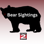 Documented History of Bears in Oneida County Going Back to 1634