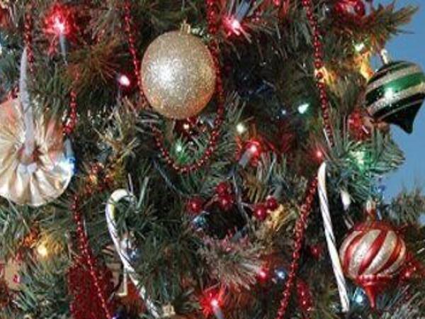 Christmas Music Utica Ny 2022 Expect To Pay More For Christmas Trees, Experts Say | Focus Economy |  Wktv.com