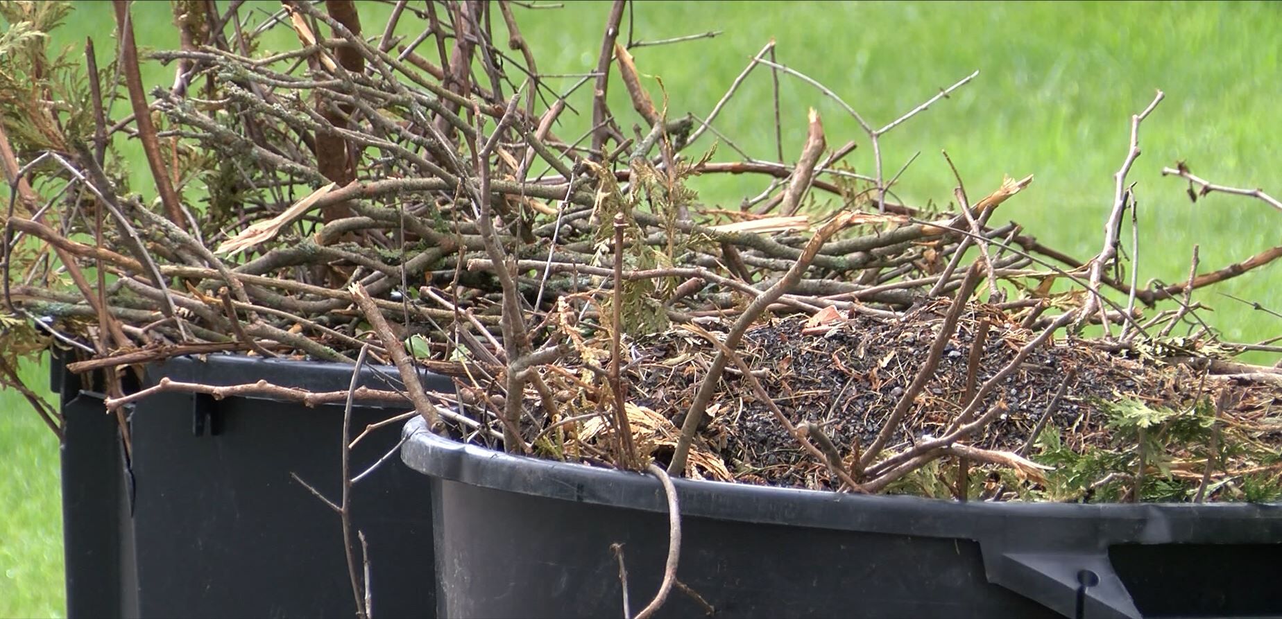 Leafy Logistics Utica's Green Waste Pickup Schedule, New York, Utica