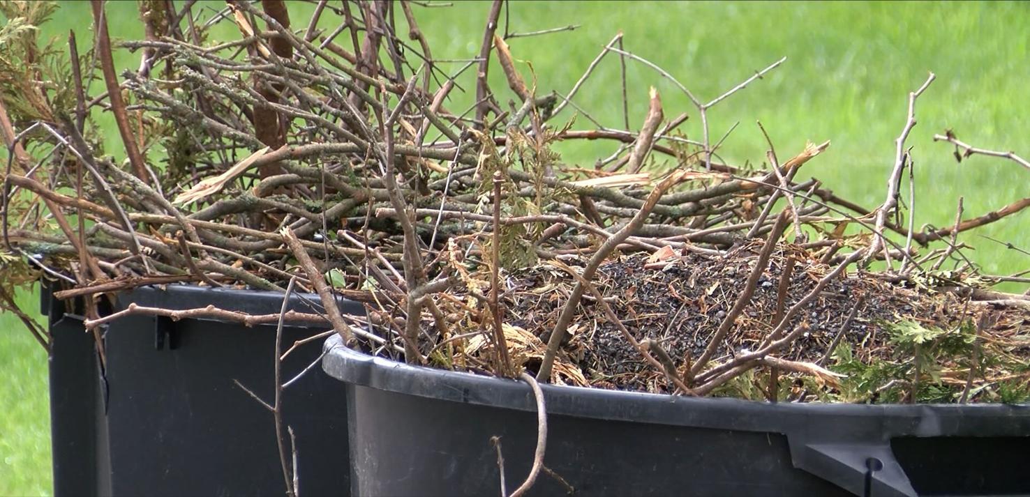 leafy-logistics-utica-s-green-waste-pickup-schedule-local-wktv