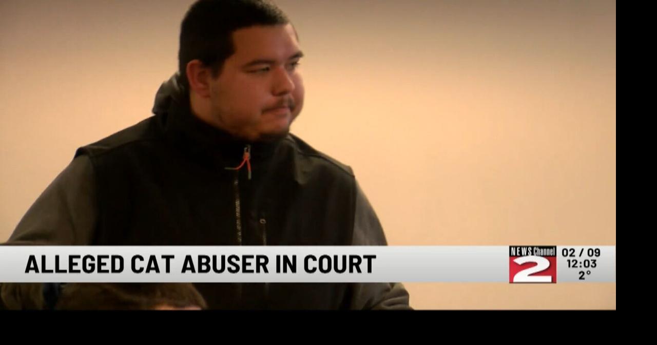 21-Year-Old Charged with Animal Cruelty in Oneida County Court | Crime ...