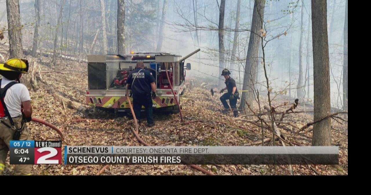 Crews battle brush fires in Otsego County amid dry, windy conditions ...