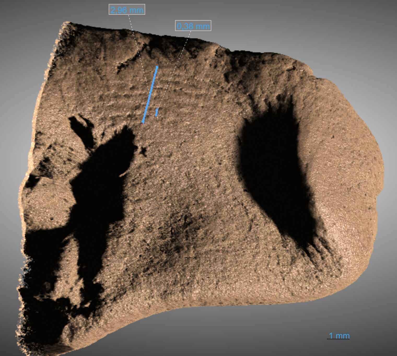 Historical Mysteries Solved by Science in 2025 | History | wktv.com