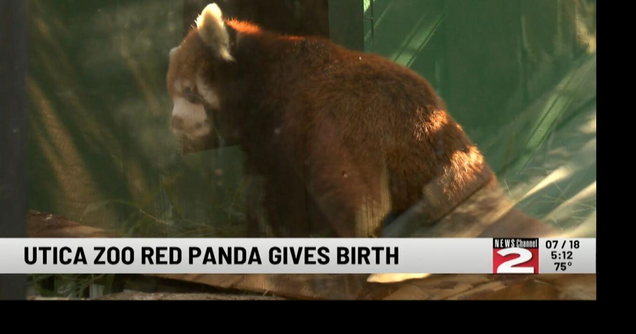 Utica Zoo
