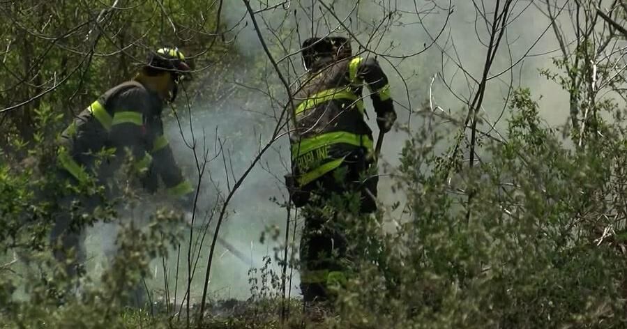 Multiple crews called in to contain brush fire near Utica Marsh | Local ...