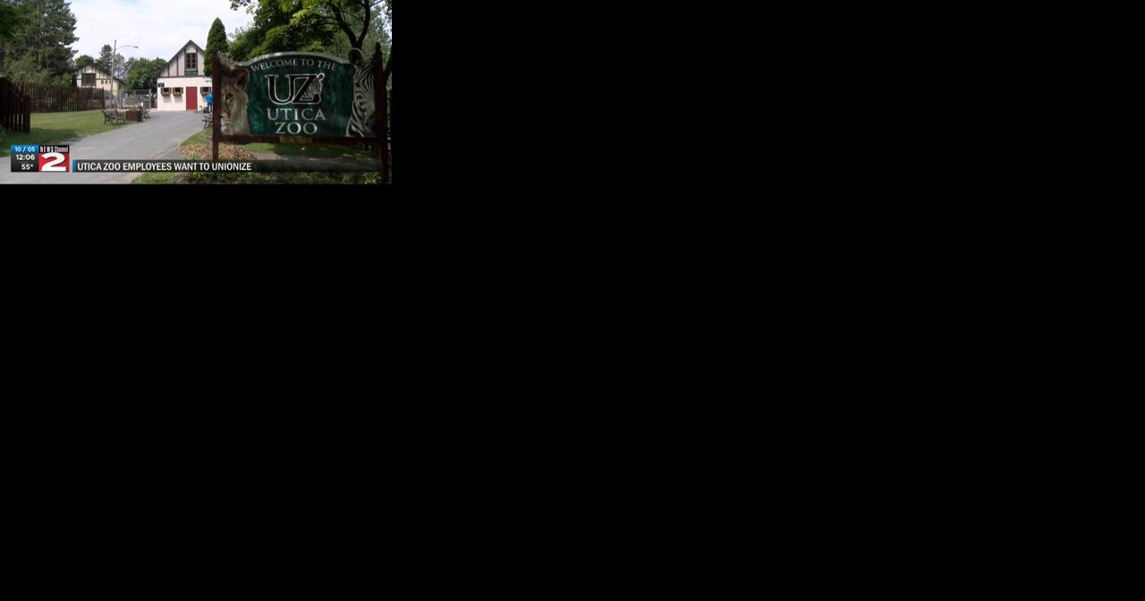 Utica Zoo workers take steps to unionize citing high turnover rates, feeling unheard - Vimarsana News