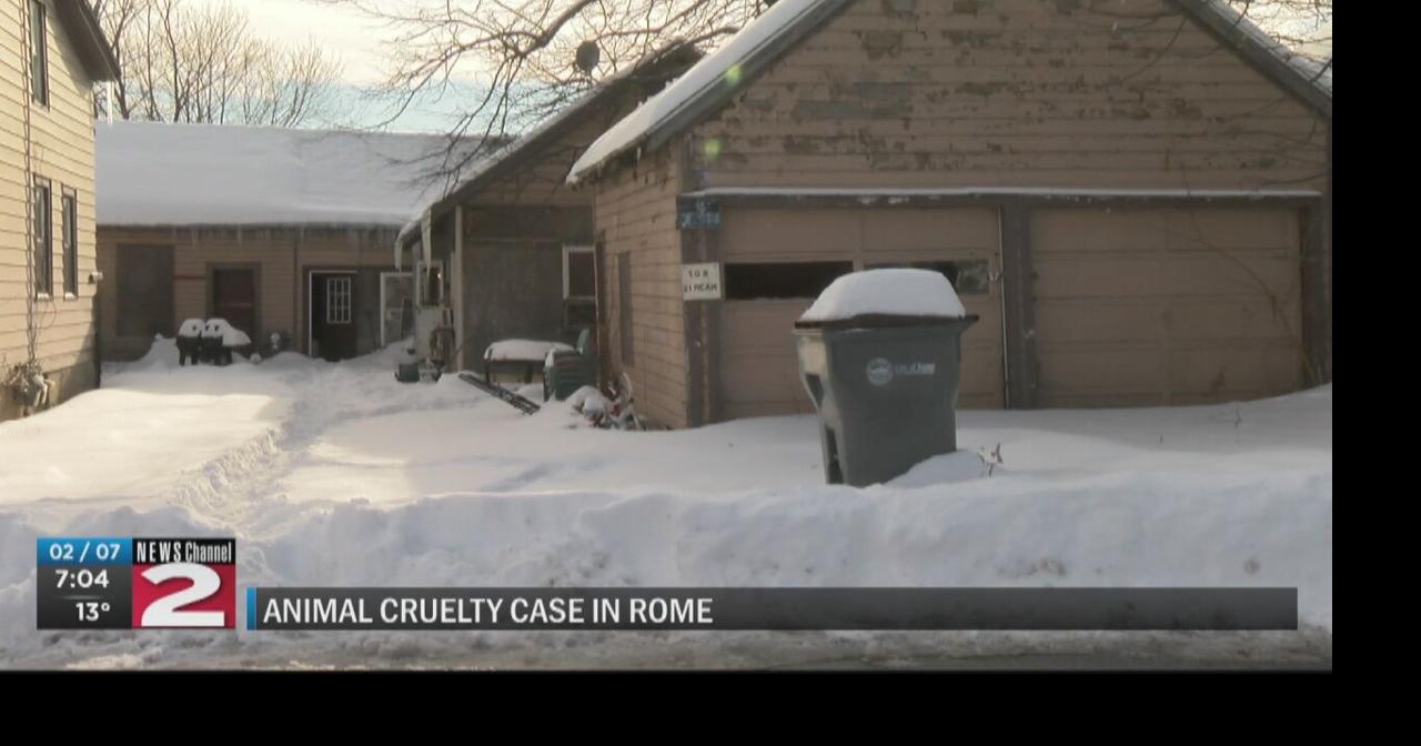 Rome residents facing animal cruelty charges after 2 dogs found dead in ...